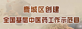鹿城區創建全國基層中醫藥工作示范縣